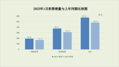 2025年1月份全国彩票销售情况